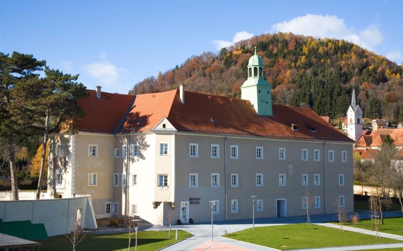 Maria Lankowitz Castle 6