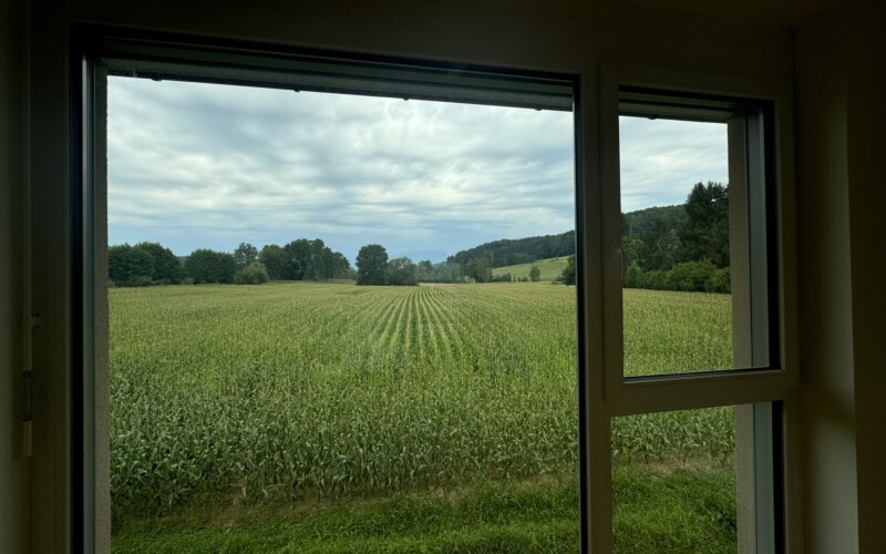 Top 7 - Haus Feldblick - Bachweg 1 23